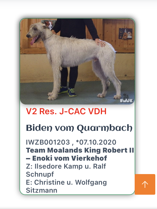 Biden Ausstellungen 1