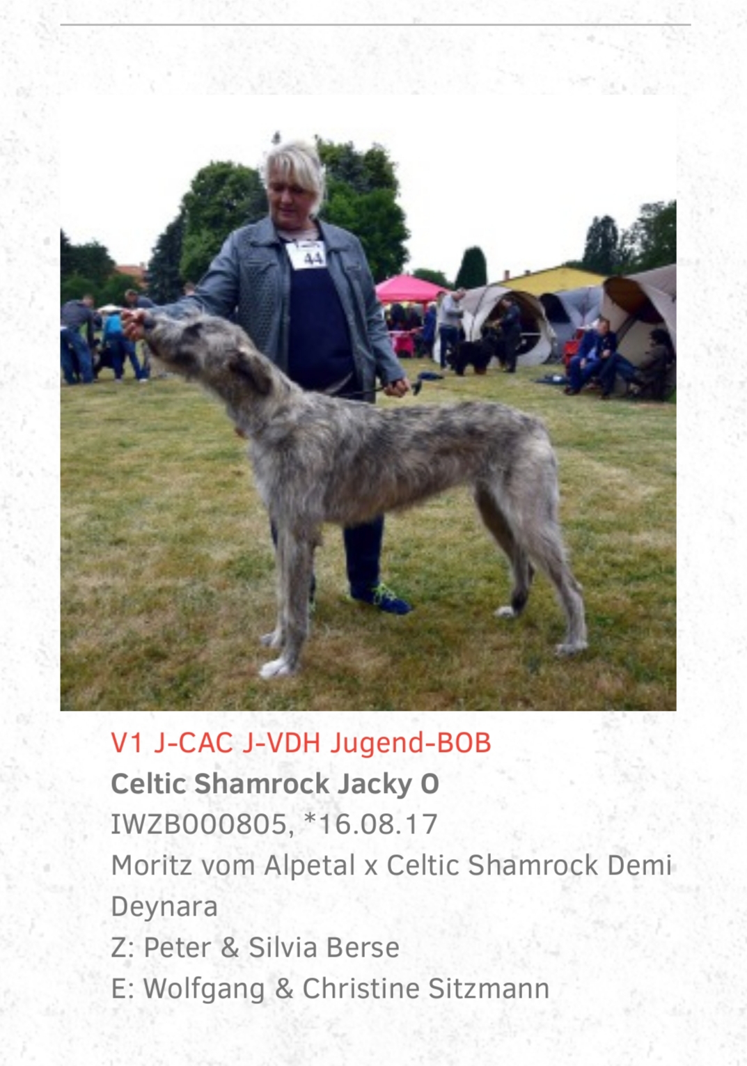 Jacky O Ausstellungen 1