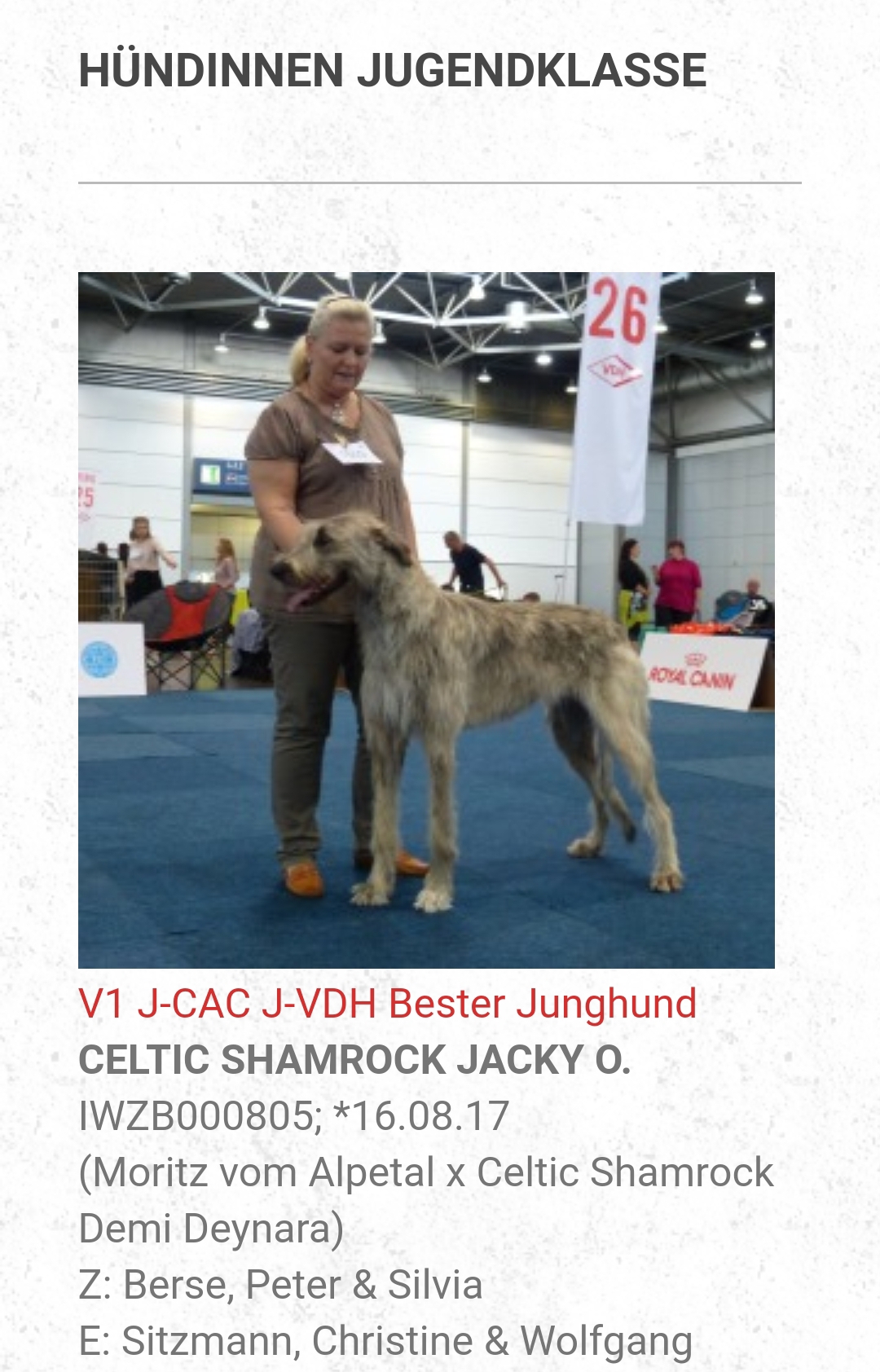 Jacky O Ausstellungen 2