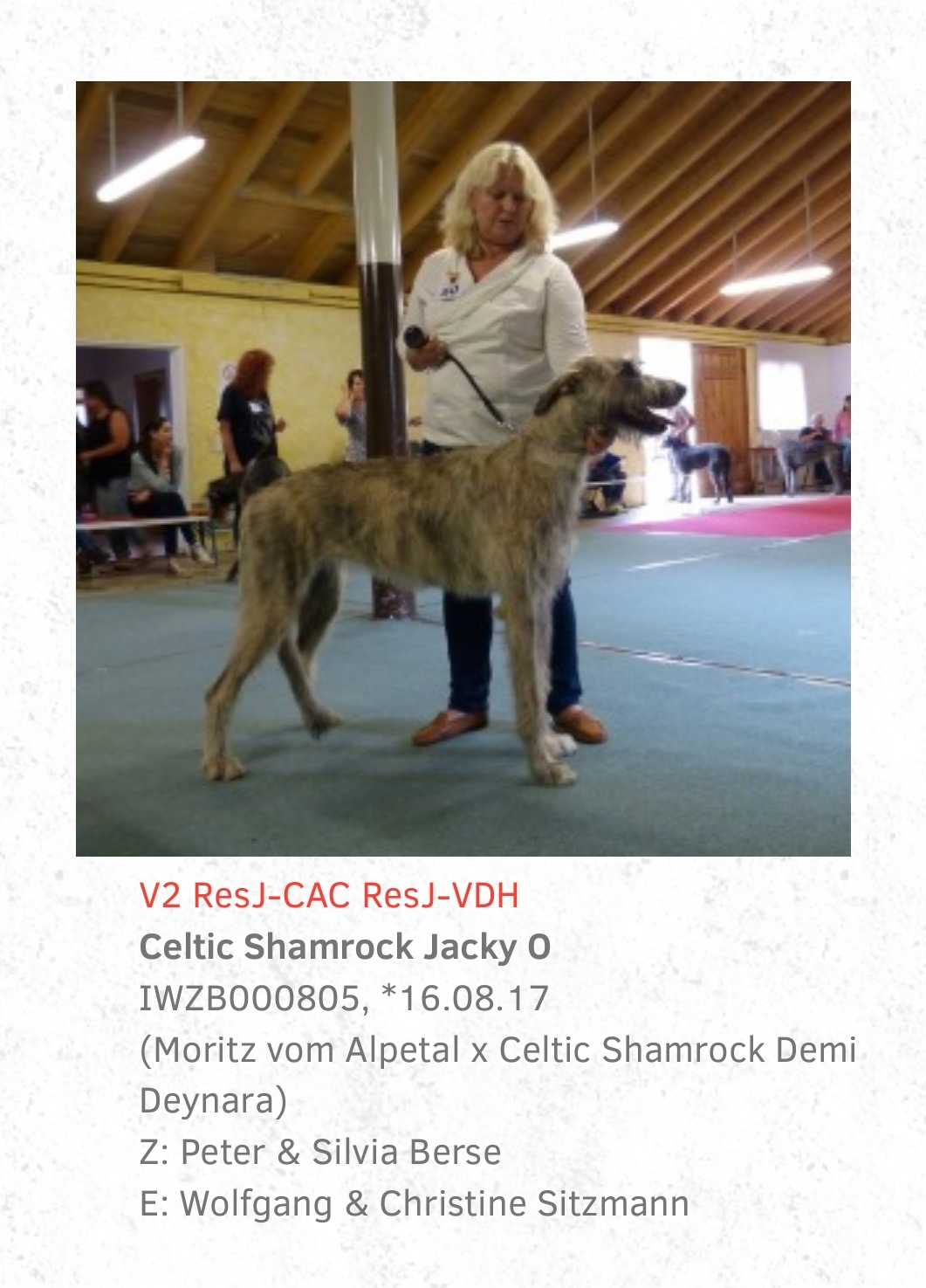 Jacky O Ausstellungen 3