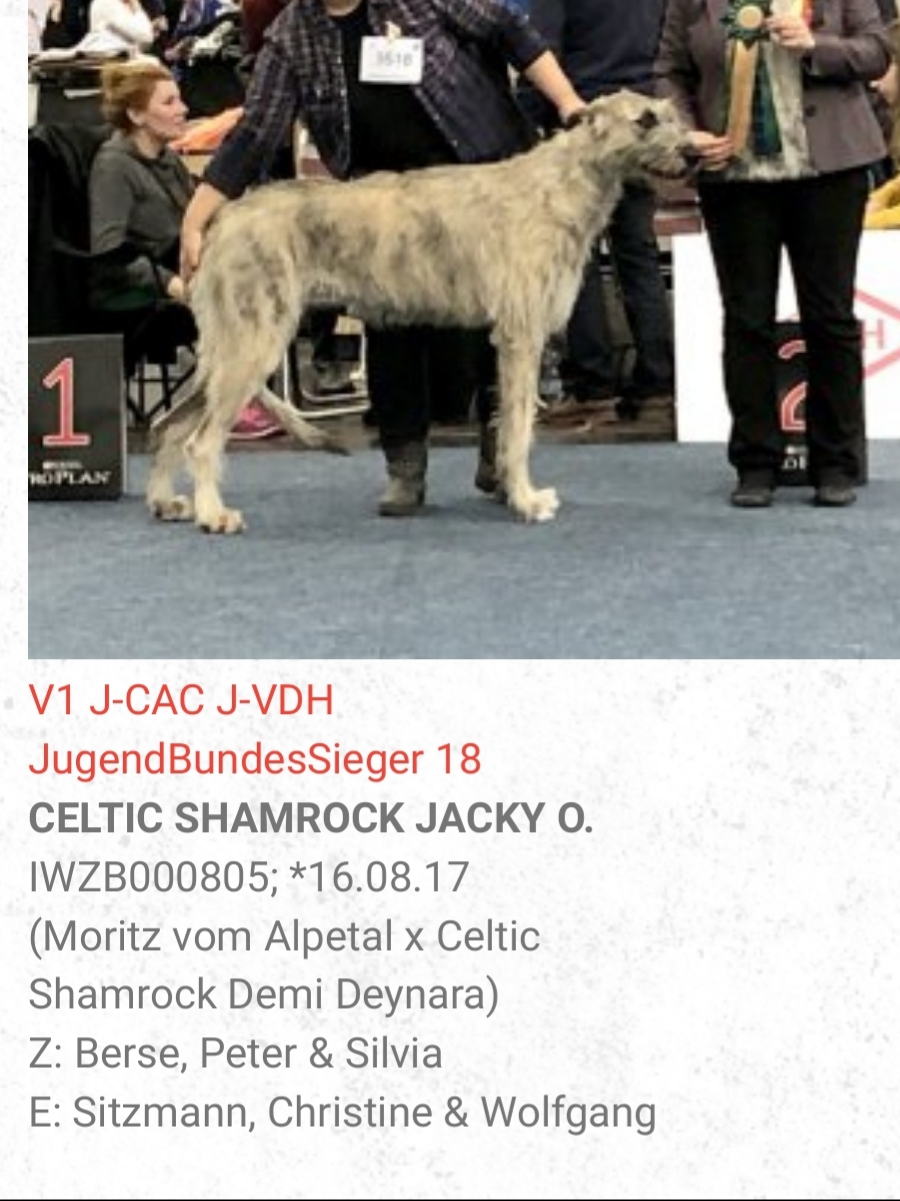 Jacky O Ausstellungen 4