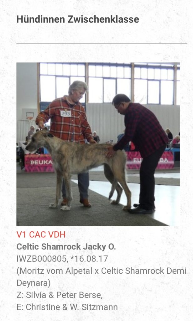 Jacky O Ausstellungen 5