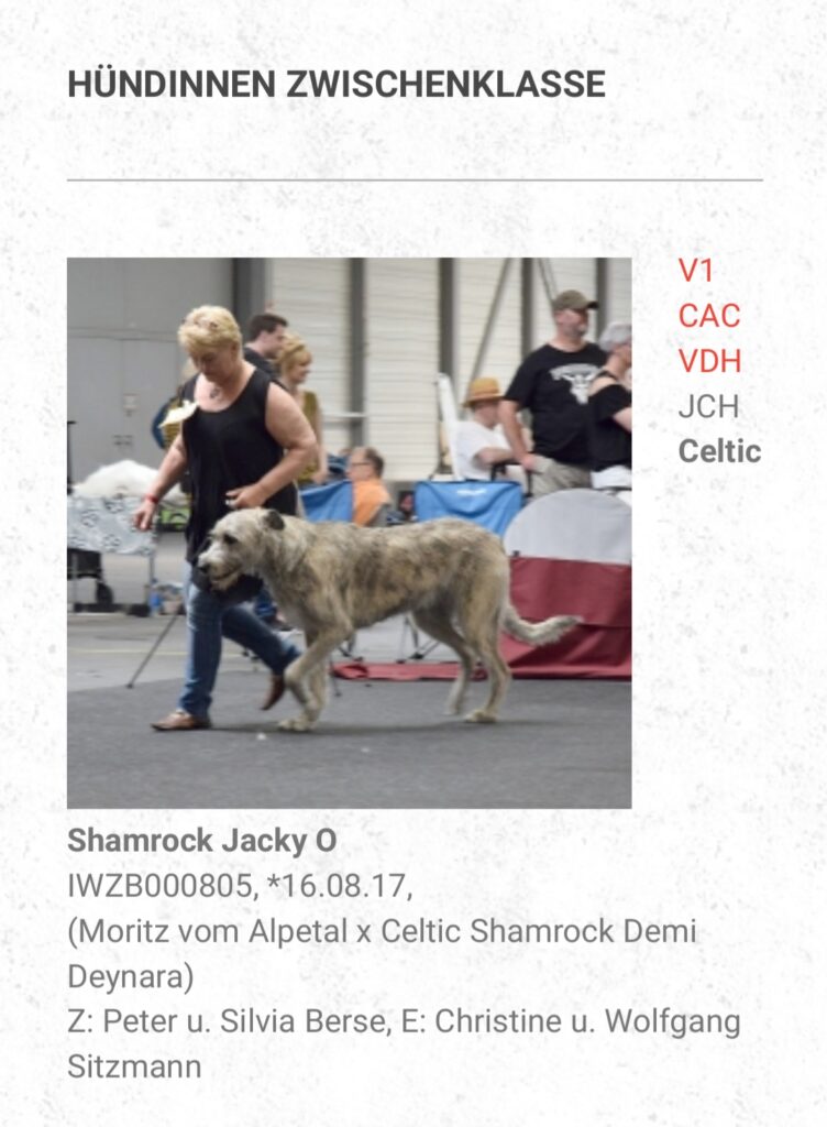 Jacky O Ausstellungen 6