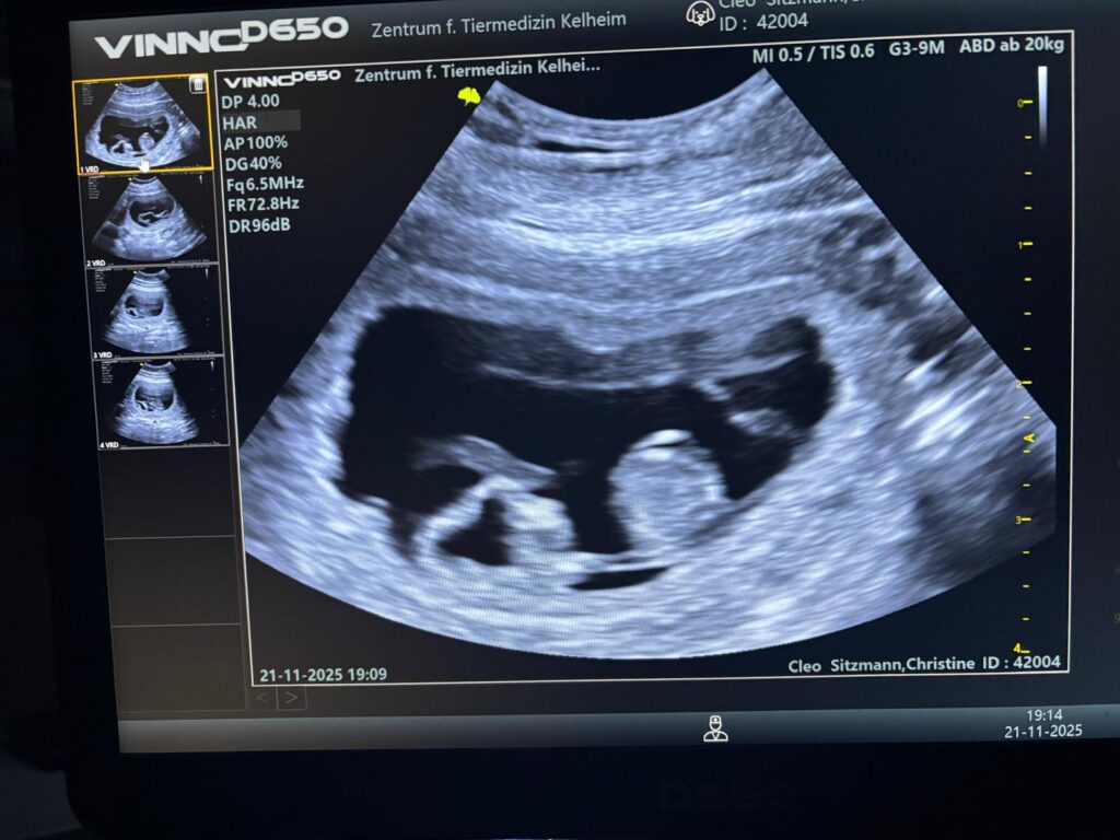 PHOTO-2025-11-21-19-26-22