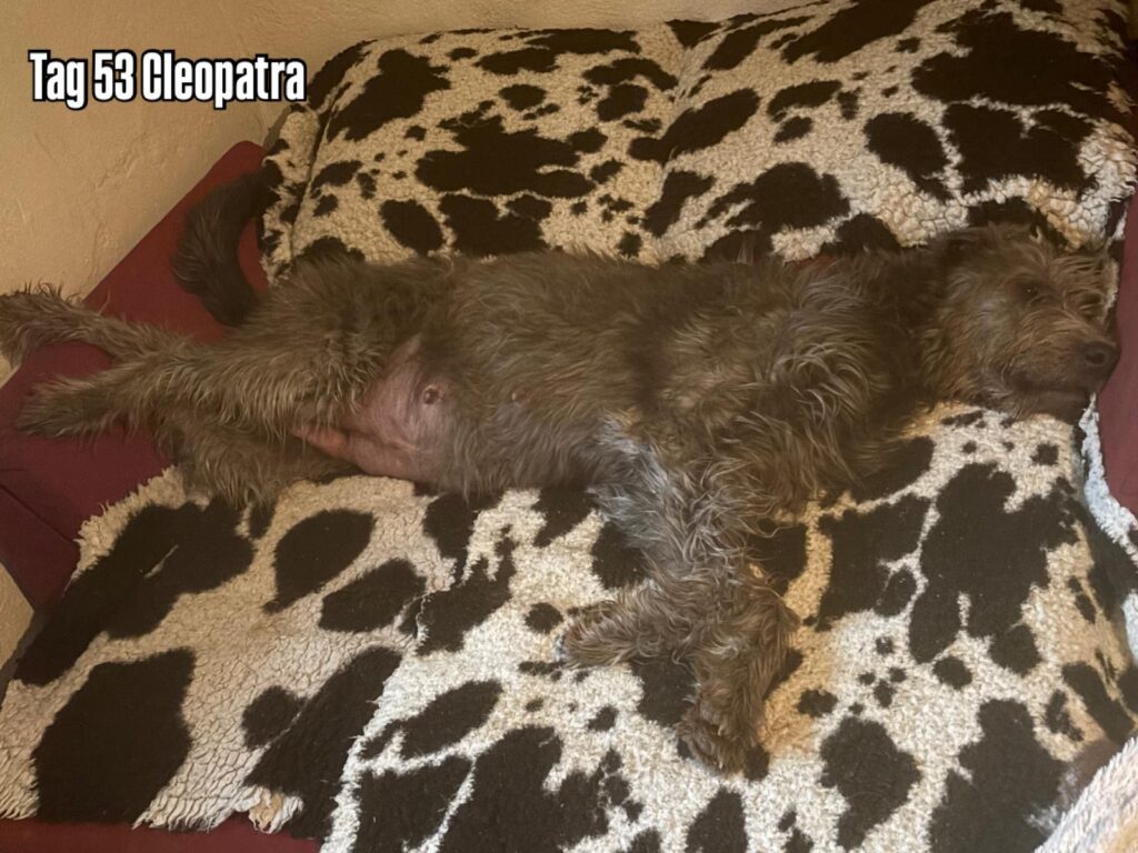 PHOTO-2025-12-15-23-44-22