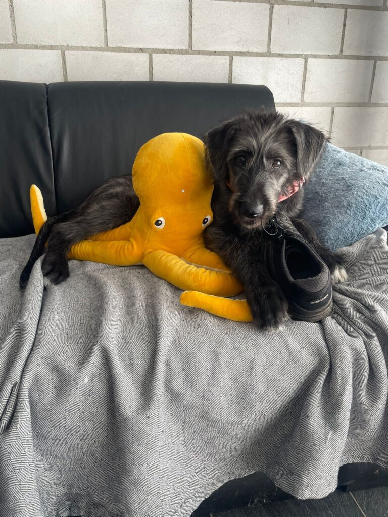 00320bdb-6391-43ab-8151-31cc085b9a1c