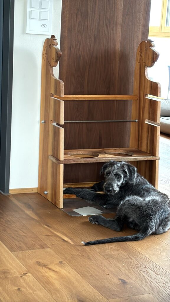 61ba833c-624f-4cf8-873d-e9014b45d70d