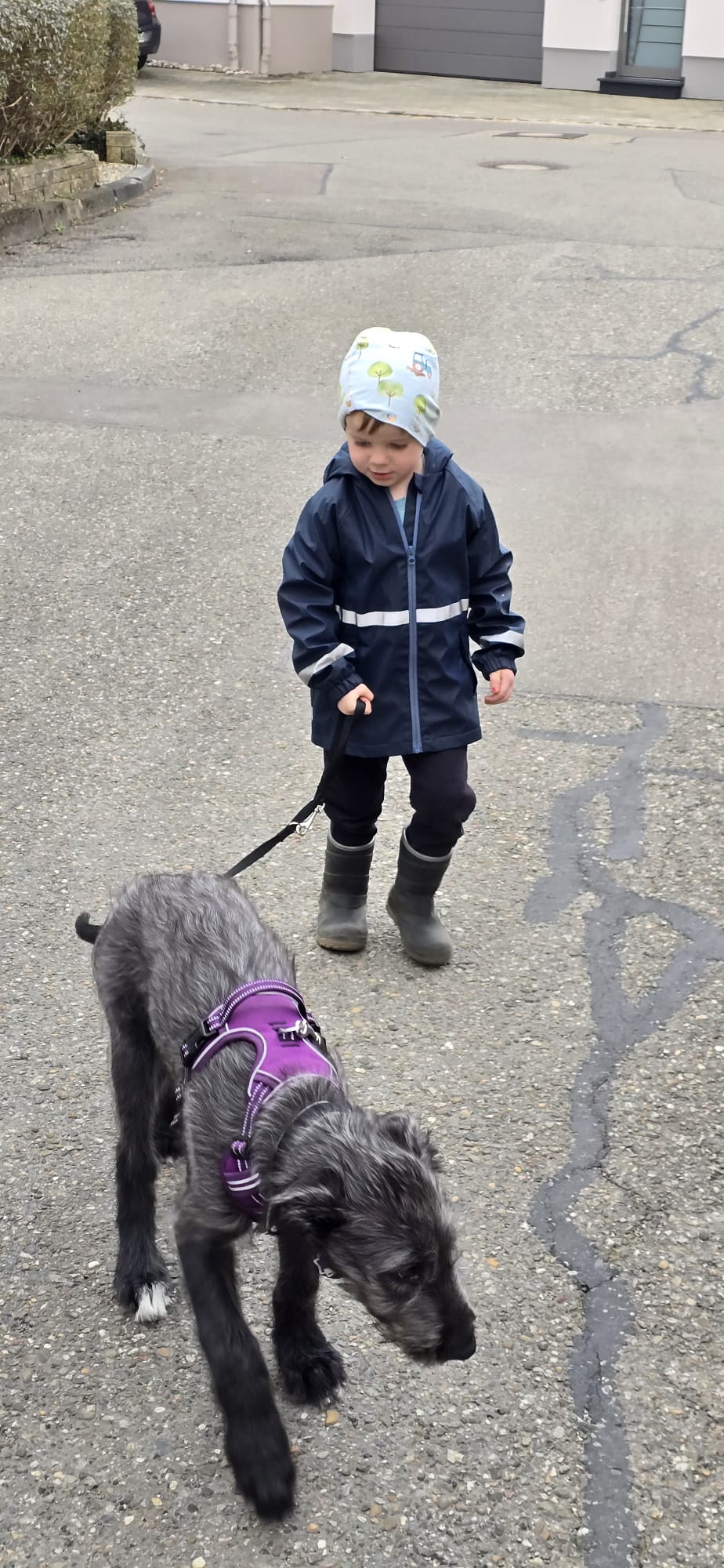 74242681-596b-4ed4-87f4-97bb0741971b