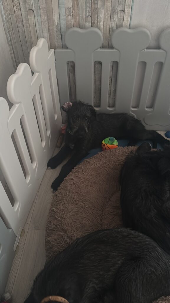 B805EC21-C3F6-4CDD-B46B-8EE754EDBF8A