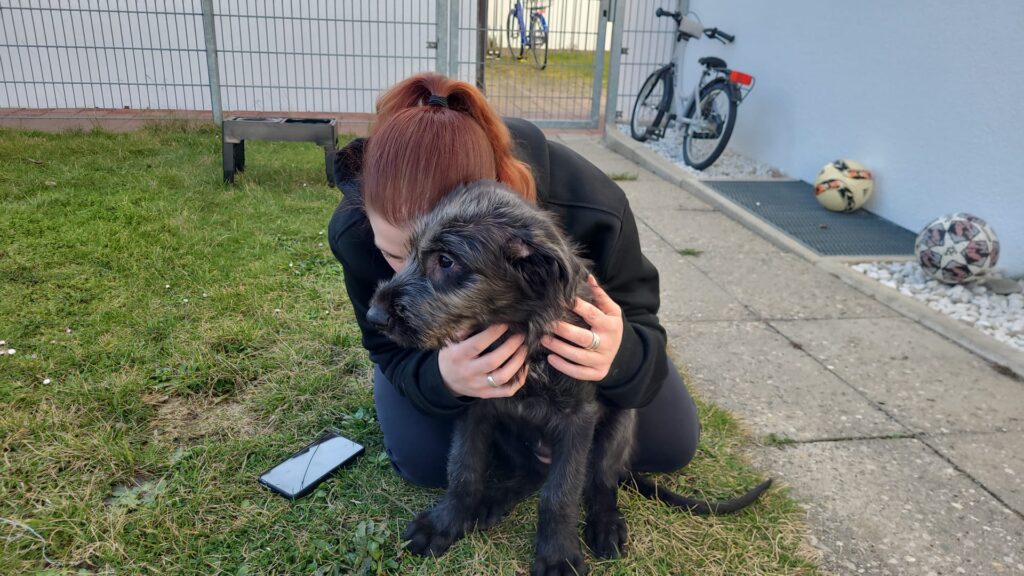 WhatsApp Image 2026-03-07 at 15.48.11