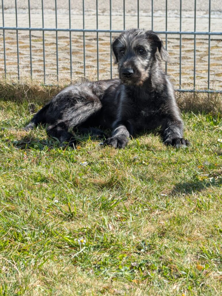 WhatsApp Image 2026-03-13 at 16.15.48