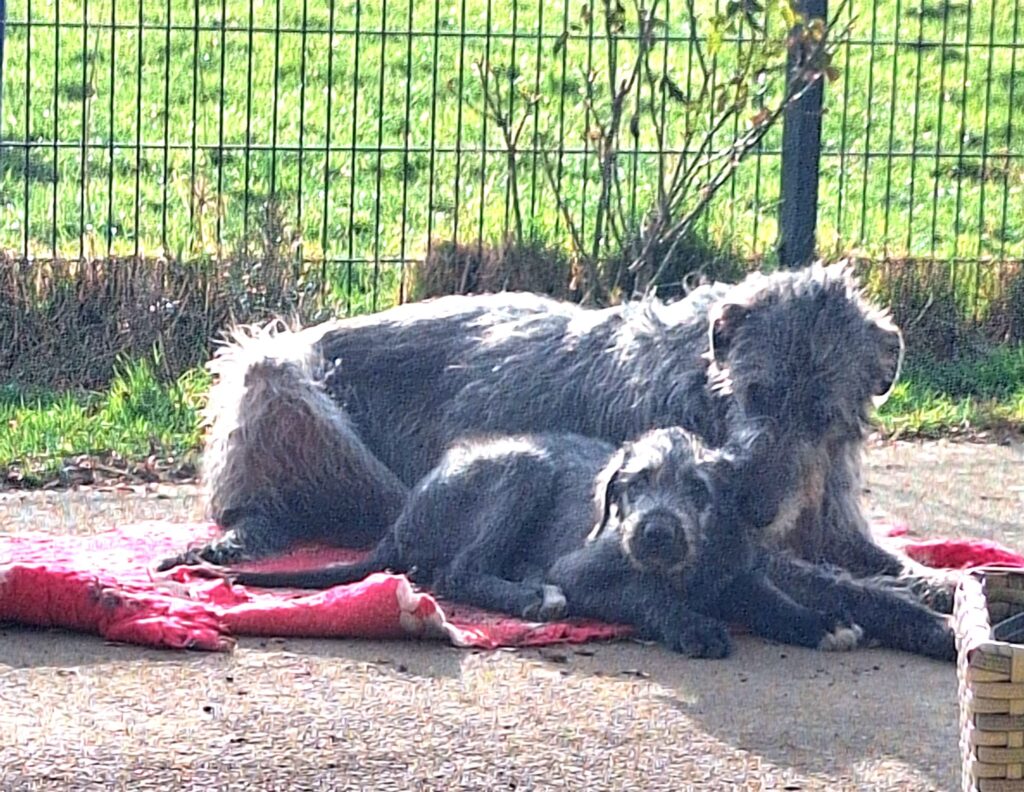 WhatsApp Image 2026-03-14 at 16.09.45