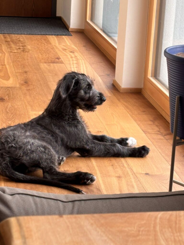 WhatsApp Image 2026-03-16 at 14.57.20