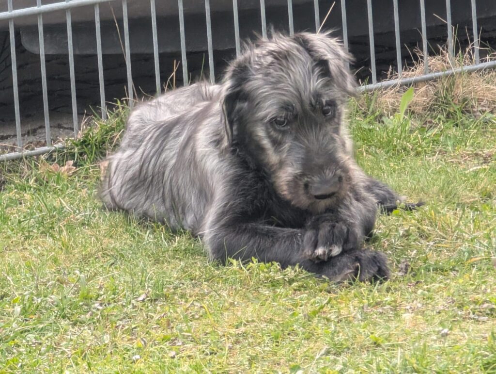 WhatsApp Image 2026-03-27 at 14.14.04