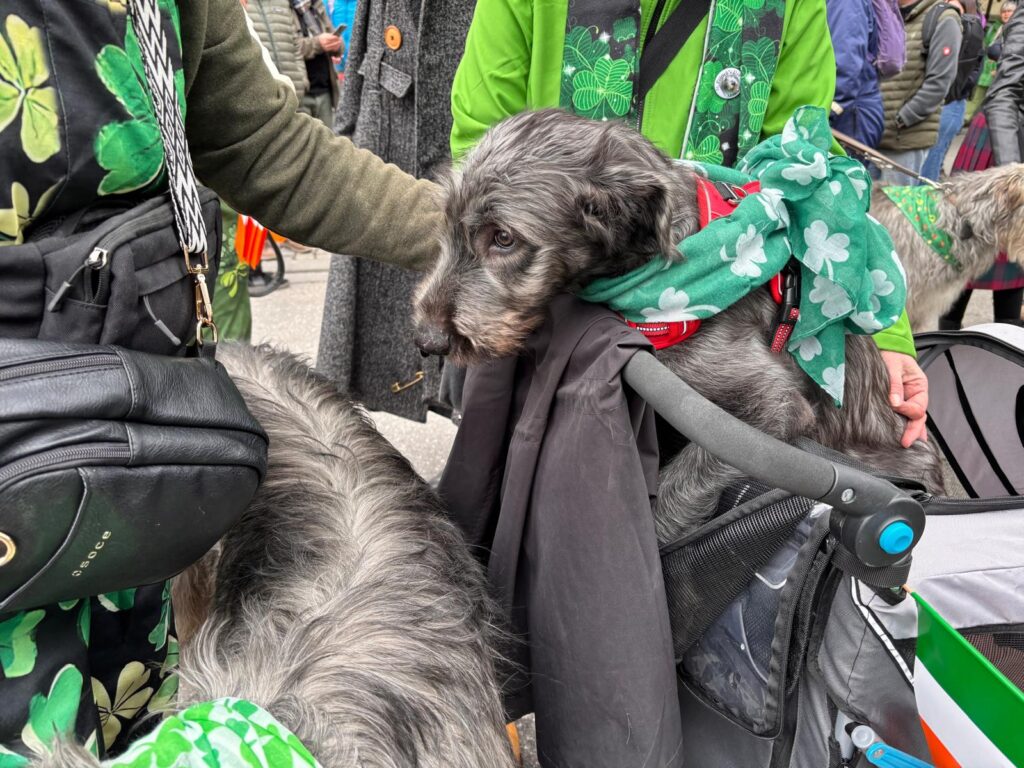 eb44613b-e8fe-4216-8243-2e624351fdef